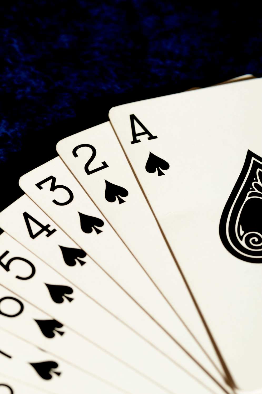 Megarich casino Megarich casino